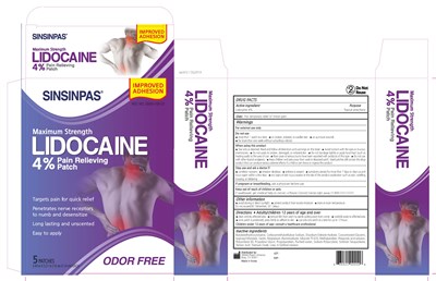 Final Sinsinpas Lidocaine 4percent Label